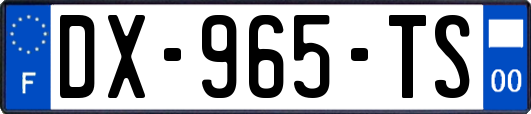DX-965-TS