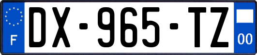 DX-965-TZ