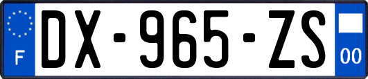 DX-965-ZS