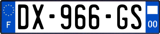 DX-966-GS