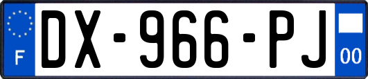 DX-966-PJ