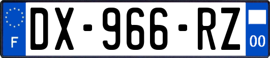 DX-966-RZ