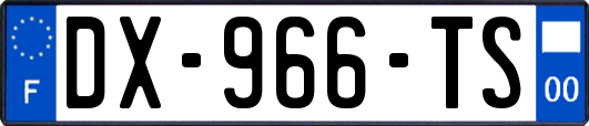 DX-966-TS