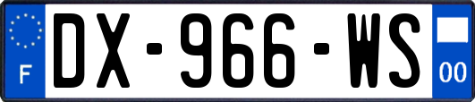 DX-966-WS