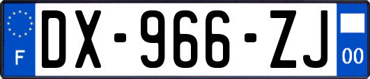 DX-966-ZJ