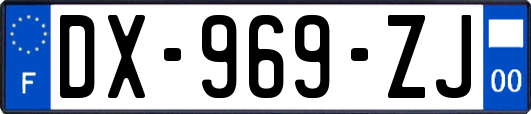 DX-969-ZJ