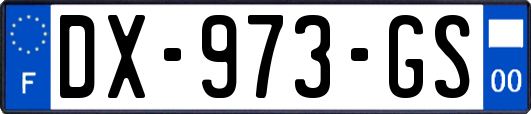 DX-973-GS