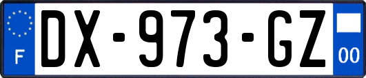 DX-973-GZ