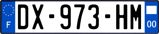 DX-973-HM