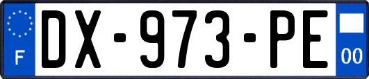 DX-973-PE