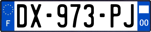 DX-973-PJ