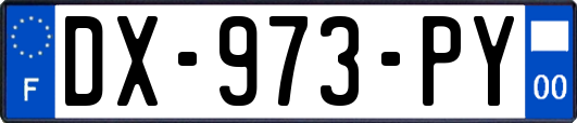 DX-973-PY