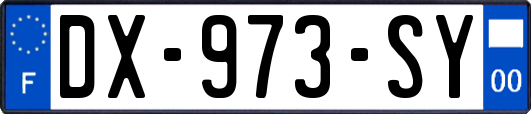 DX-973-SY