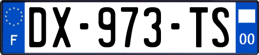 DX-973-TS