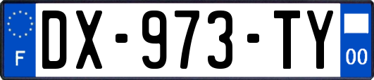 DX-973-TY