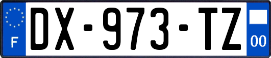 DX-973-TZ