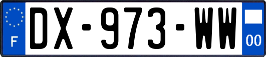 DX-973-WW