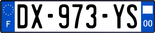 DX-973-YS