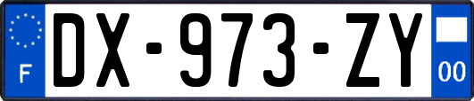 DX-973-ZY