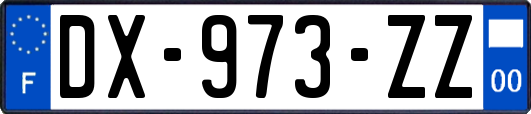 DX-973-ZZ