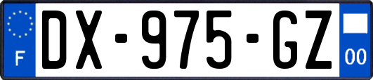 DX-975-GZ