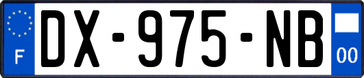 DX-975-NB