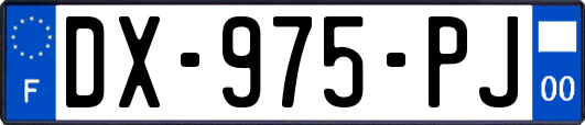 DX-975-PJ