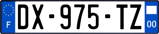 DX-975-TZ