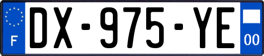 DX-975-YE