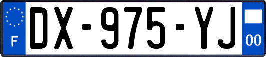 DX-975-YJ