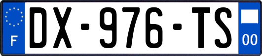 DX-976-TS