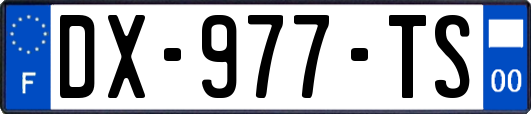 DX-977-TS