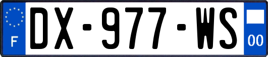 DX-977-WS