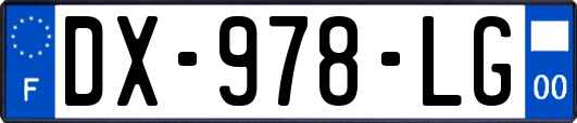 DX-978-LG