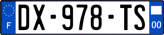 DX-978-TS