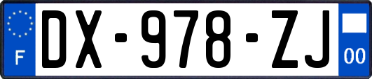 DX-978-ZJ