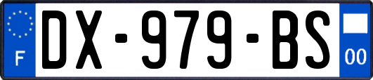 DX-979-BS