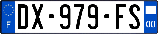 DX-979-FS