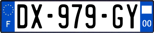 DX-979-GY
