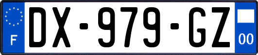 DX-979-GZ