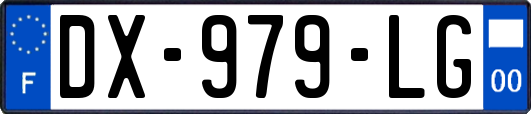 DX-979-LG