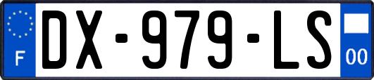 DX-979-LS