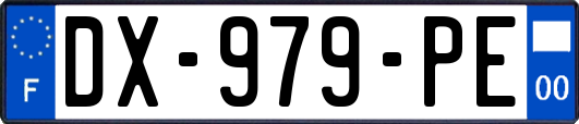DX-979-PE