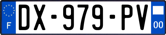 DX-979-PV