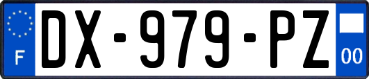 DX-979-PZ