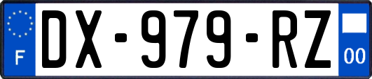 DX-979-RZ