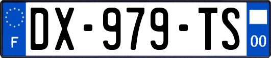 DX-979-TS