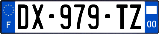 DX-979-TZ