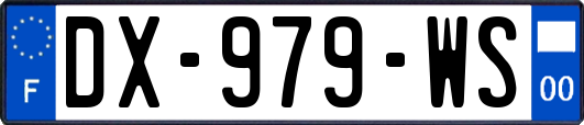 DX-979-WS