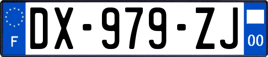 DX-979-ZJ